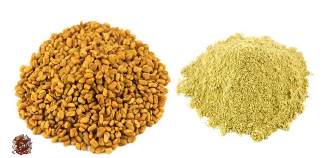 تخم شنبلیله