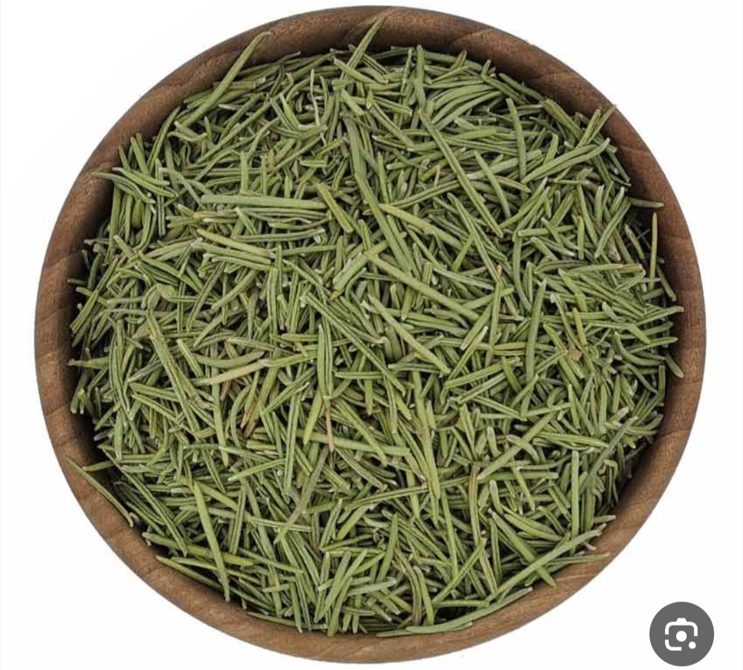 رزماری دارویی