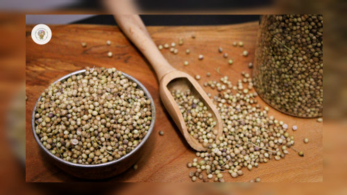 تخم گشنیز
