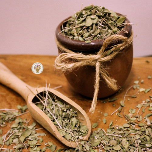 گیاه گل پر