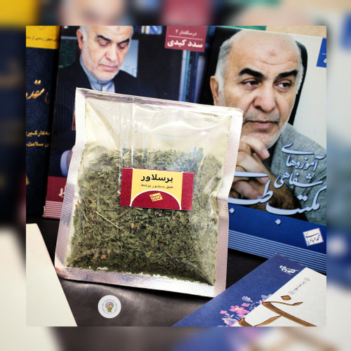 برسلاور استاد عبادیانی