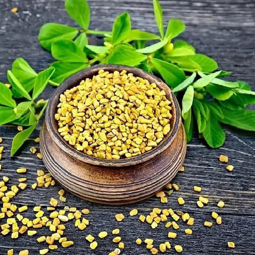 تخم شنبلیله