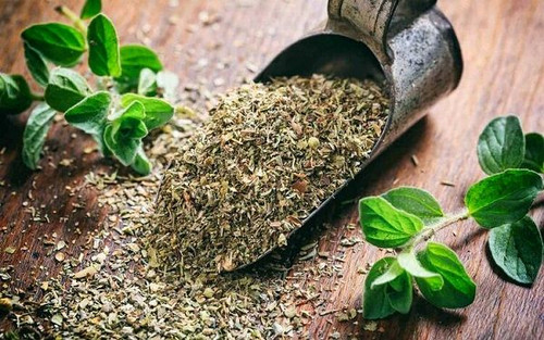 آویشن کوهی