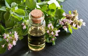 روغن مرزنجوش درمانی
