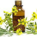 روغن سداب درمانی