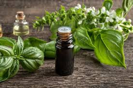 روغن ریحان درمانی