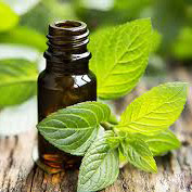 روغن نعنا درمانی