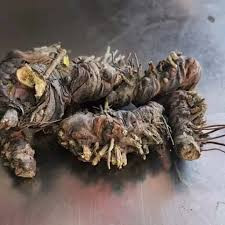 ریشه ایرسا