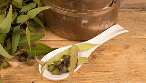 برگ اکالیپتوس
