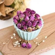 غنچه گل محمدی
