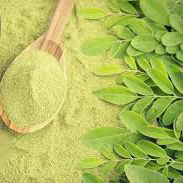 برگ سدر
