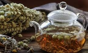 چای کوهی