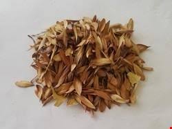 زبان گنجشک