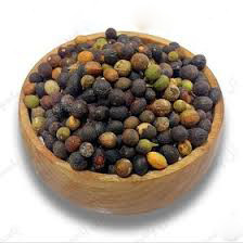 حب الغار