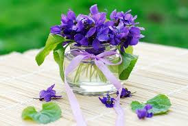 بنفشه معطر