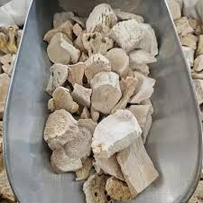 قسط شیرین