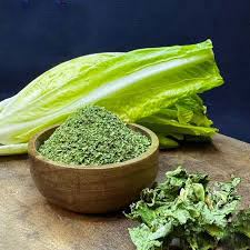 برگ کاهو