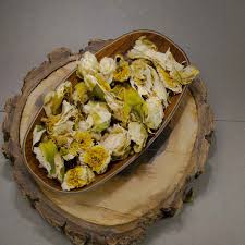 گل نیلوفر