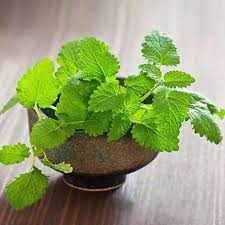 برگ فرنجمشک