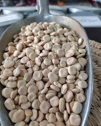 باقلای مصری