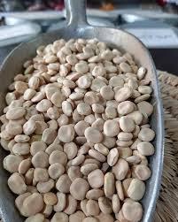 باقلای مصری