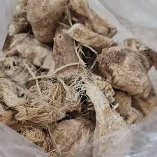 ریشه کلمبو