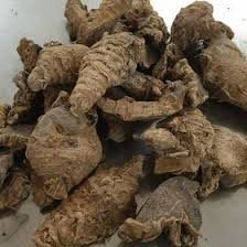 زرنباد