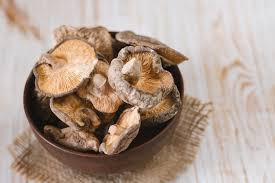 قارچ گانودرما