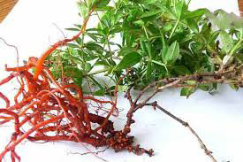 روناس